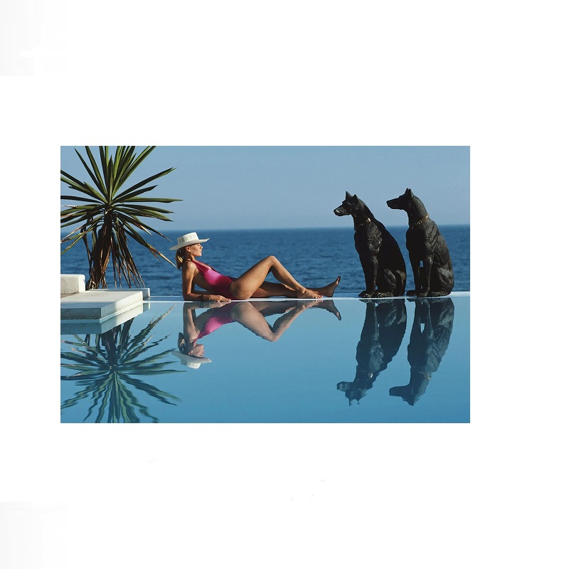 Retro Poolside Host Luxury Lif - Luxury Lifestyle Picture 评论和价格